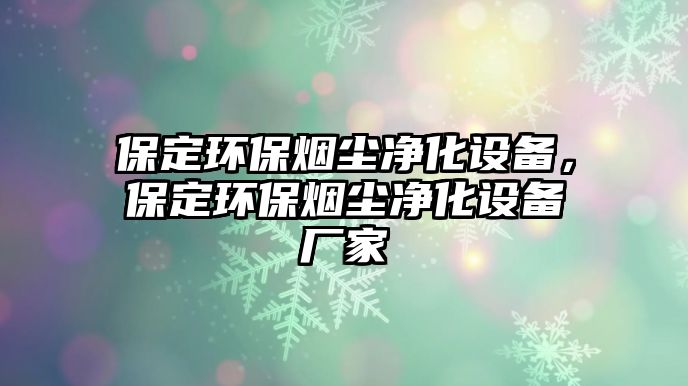 保定環(huán)保煙塵凈化設(shè)備，保定環(huán)保煙塵凈化設(shè)備廠家