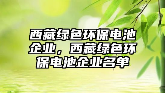 西藏綠色環(huán)保電池企業(yè)，西藏綠色環(huán)保電池企業(yè)名單