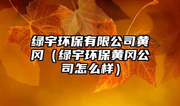 綠宇環(huán)保有限公司黃岡（綠宇環(huán)保黃岡公司怎么樣）