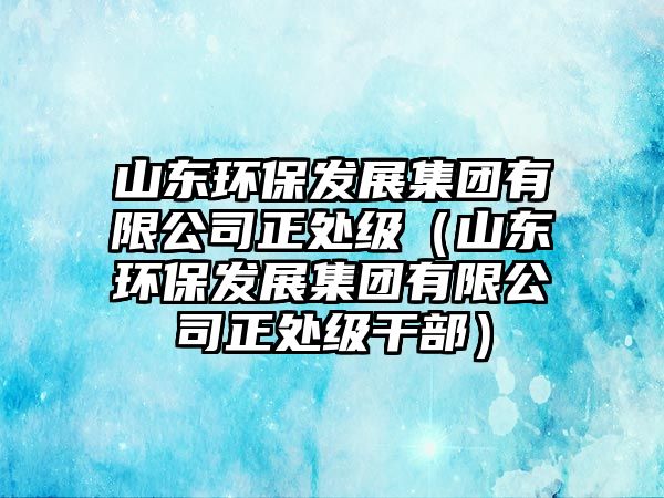 山東環(huán)保發(fā)展集團(tuán)有限公司正處級(jí)（山東環(huán)保發(fā)展集團(tuán)有限公司正處級(jí)干部）