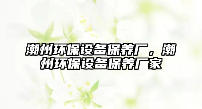 潮州環(huán)保設(shè)備保養(yǎng)廠，潮州環(huán)保設(shè)備保養(yǎng)廠家