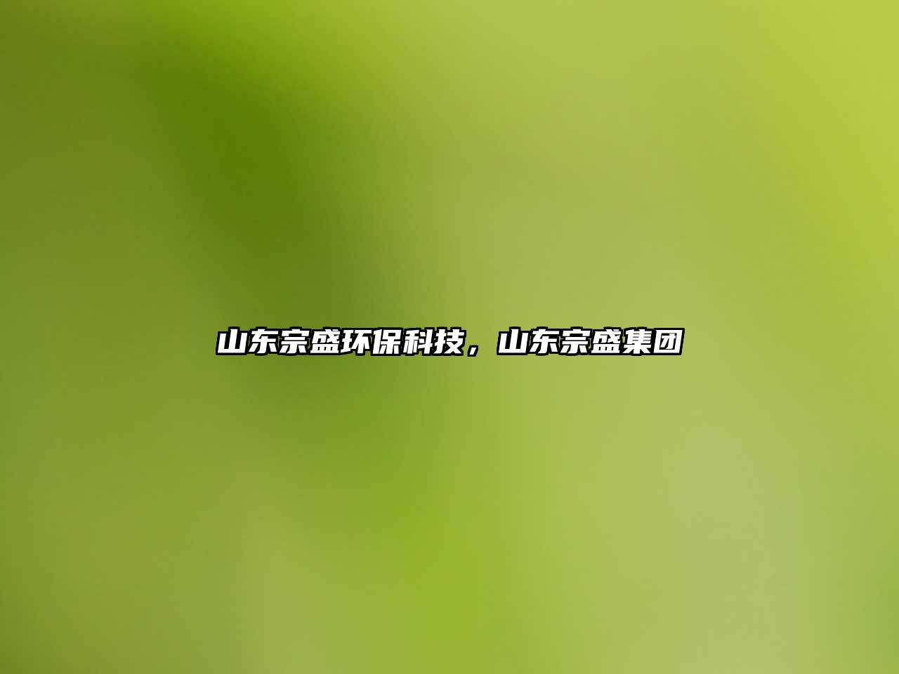 山東宗盛環(huán)?？萍?，山東宗盛集團