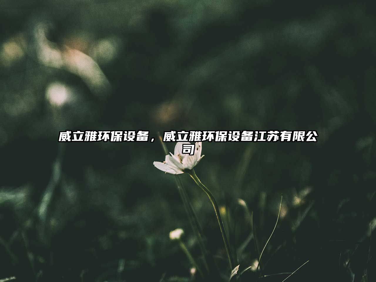 威立雅環(huán)保設(shè)備，威立雅環(huán)保設(shè)備江蘇有限公司