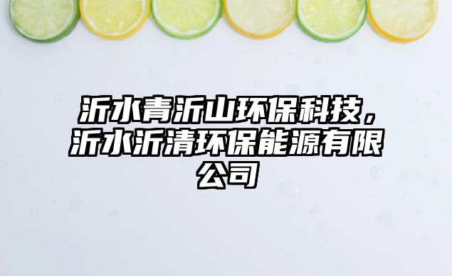沂水青沂山環(huán)?？萍?，沂水沂清環(huán)保能源有限公司