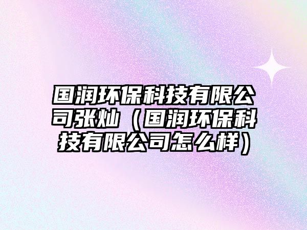 國潤環(huán)保科技有限公司張燦（國潤環(huán)?？萍加邢薰驹趺礃樱? class=