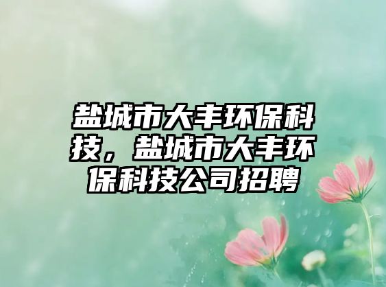 鹽城市大豐環(huán)?？萍迹}城市大豐環(huán)?？萍脊菊衅?/> 
									</a>
									<h4 class=