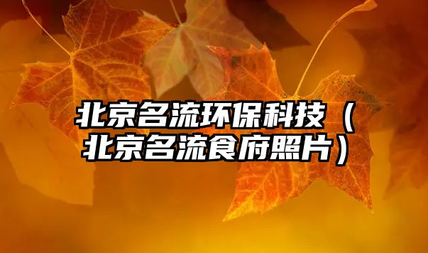 北京名流環(huán)?？萍迹ū本┟魇掣掌? class=