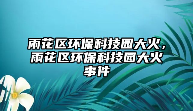 雨花區(qū)環(huán)?？萍紙@大火，雨花區(qū)環(huán)?？萍紙@大火事件