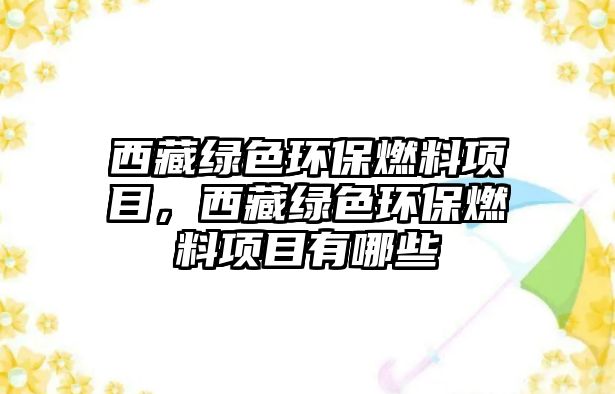 西藏綠色環(huán)保燃料項(xiàng)目，西藏綠色環(huán)保燃料項(xiàng)目有哪些