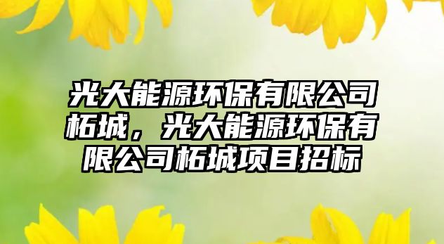 光大能源環(huán)保有限公司柘城，光大能源環(huán)保有限公司柘城項目招標(biāo)