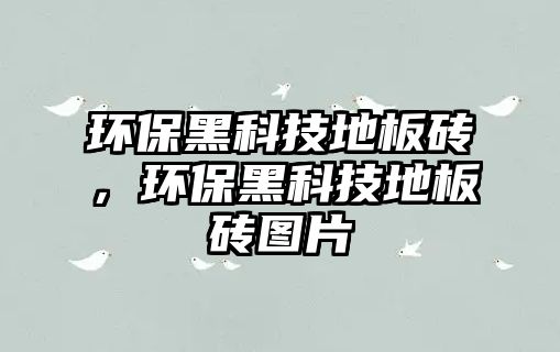 環(huán)保黑科技地板磚，環(huán)保黑科技地板磚圖片