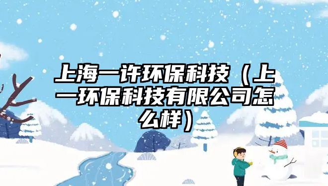 上海一許環(huán)保科技（上一環(huán)?？萍加邢薰驹趺礃樱? class=