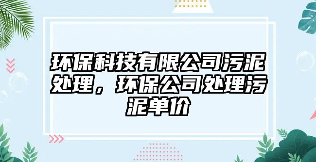 環(huán)保科技有限公司污泥處理，環(huán)保公司處理污泥單價(jià)