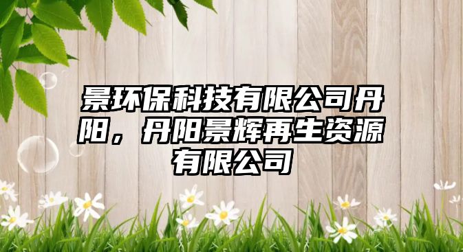 景環(huán)?？萍加邢薰镜り?，丹陽景輝再生資源有限公司