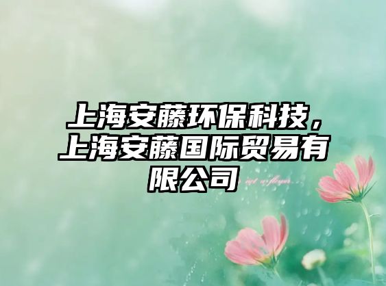 上海安藤環(huán)?？萍?，上海安藤國際貿(mào)易有限公司