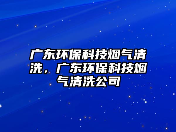 廣東環(huán)?？萍紵煔馇逑矗瑥V東環(huán)?？萍紵煔馇逑垂? class=