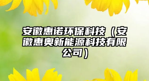 安徽惠諾環(huán)?？萍迹ò不栈輮W新能源科技有限公司）
