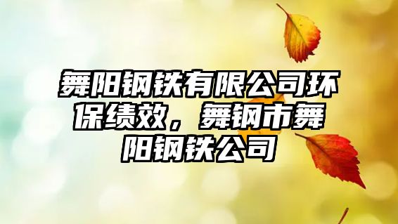 舞陽鋼鐵有限公司環(huán)?？冃В桎撌形桕栦撹F公司
