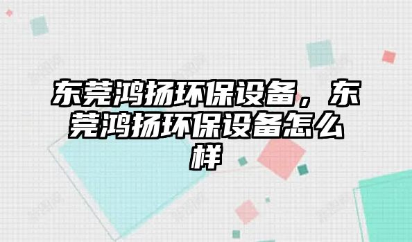 東莞鴻揚(yáng)環(huán)保設(shè)備，東莞鴻揚(yáng)環(huán)保設(shè)備怎么樣