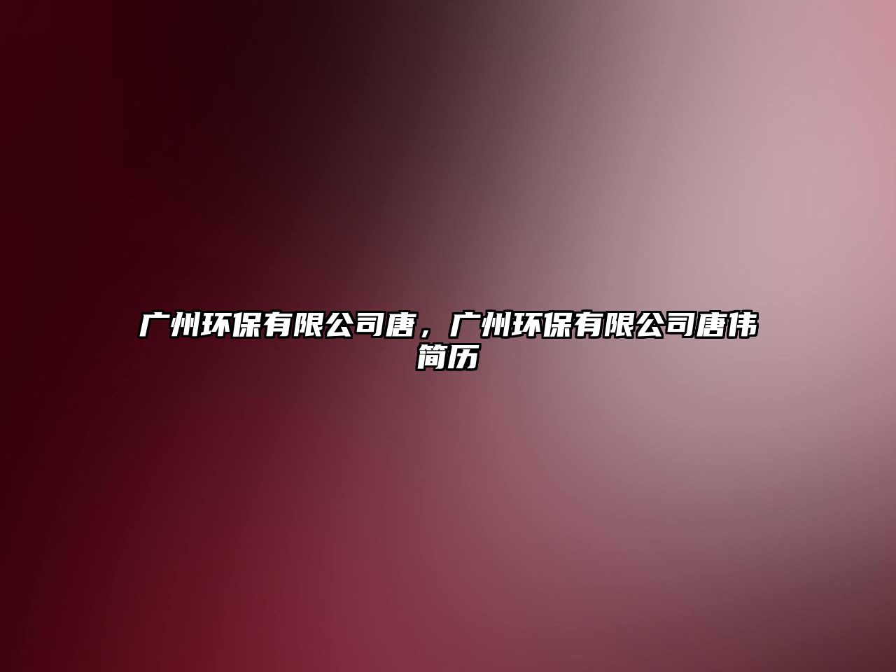 廣州環(huán)保有限公司唐，廣州環(huán)保有限公司唐偉簡歷