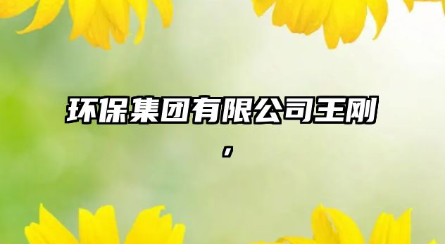 環(huán)保集團有限公司王剛，