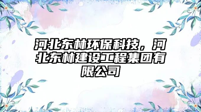 河北東林環(huán)?？萍迹颖睎|林建設(shè)工程集團(tuán)有限公司