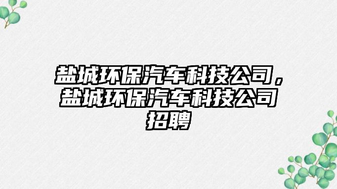 鹽城環(huán)保汽車科技公司，鹽城環(huán)保汽車科技公司招聘