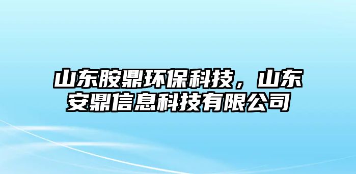 山東胺鼎環(huán)?？萍?，山東安鼎信息科技有限公司