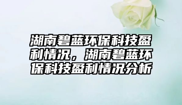 湖南碧藍(lán)環(huán)保科技盈利情況，湖南碧藍(lán)環(huán)保科技盈利情況分析