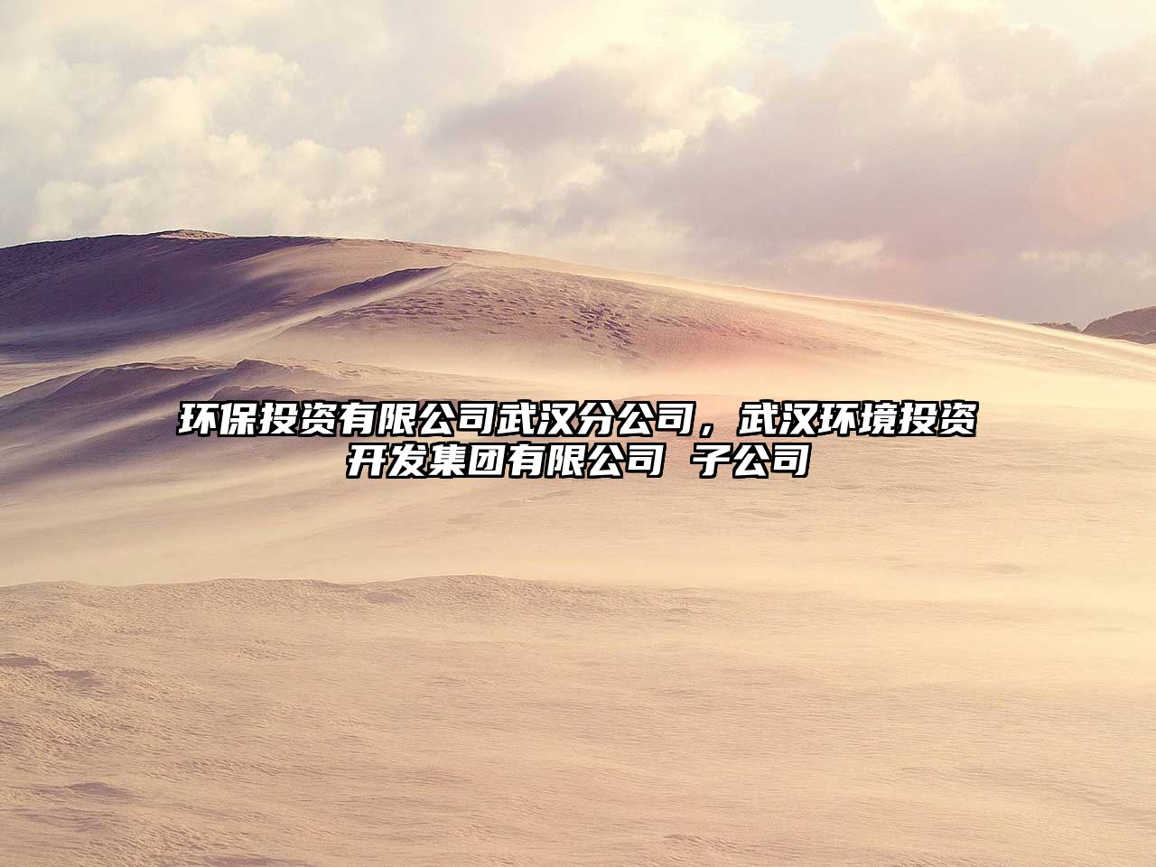 環(huán)保投資有限公司武漢分公司，武漢環(huán)境投資開發(fā)集團有限公司 子公司