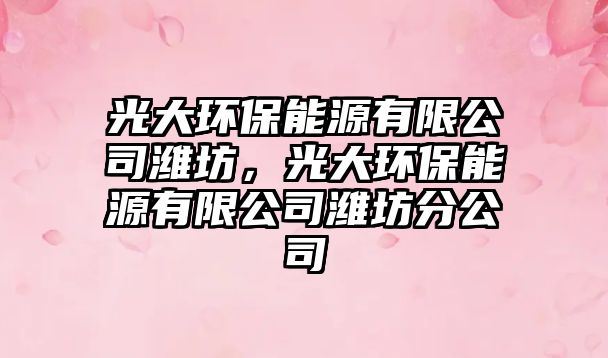 光大環(huán)保能源有限公司濰坊，光大環(huán)保能源有限公司濰坊分公司