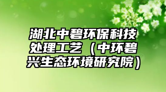 湖北中碧環(huán)?？萍继幚砉に嚕ㄖ协h(huán)碧興生態(tài)環(huán)境研究院）