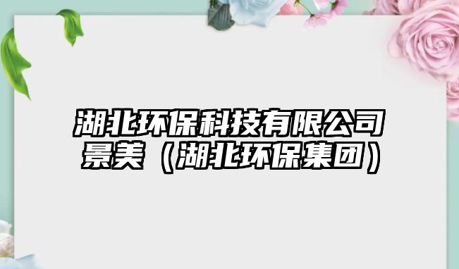 湖北環(huán)?？萍加邢薰揪懊溃ê杯h(huán)保集團）