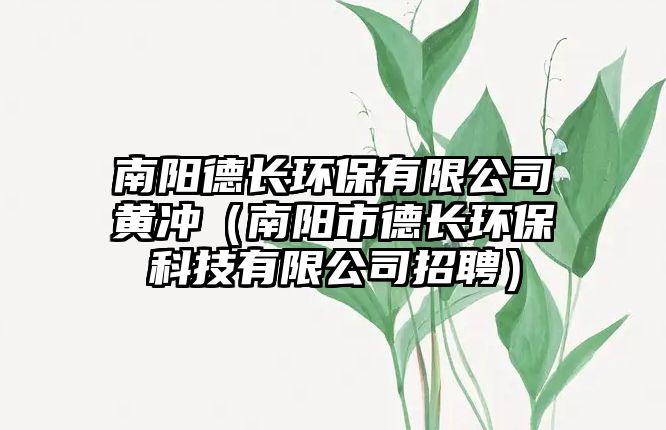 南陽德長環(huán)保有限公司黃沖（南陽市德長環(huán)?？萍加邢薰菊衅福? class=
