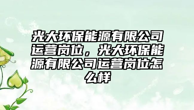 光大環(huán)保能源有限公司運(yùn)營崗位，光大環(huán)保能源有限公司運(yùn)營崗位怎么樣