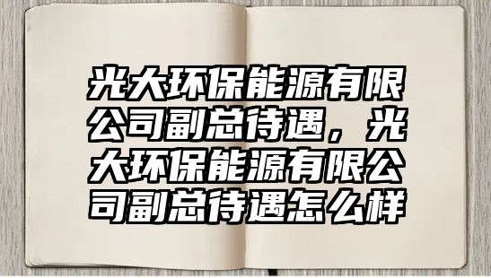 光大環(huán)保能源有限公司副總待遇，光大環(huán)保能源有限公司副總待遇怎么樣