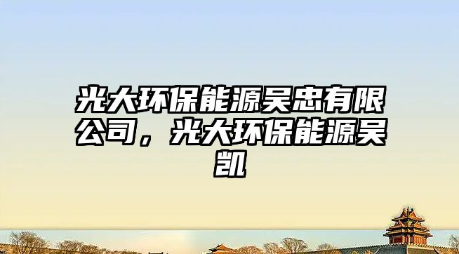 光大環(huán)保能源吳忠有限公司，光大環(huán)保能源吳凱