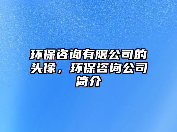 環(huán)保咨詢有限公司的頭像，環(huán)保咨詢公司簡(jiǎn)介