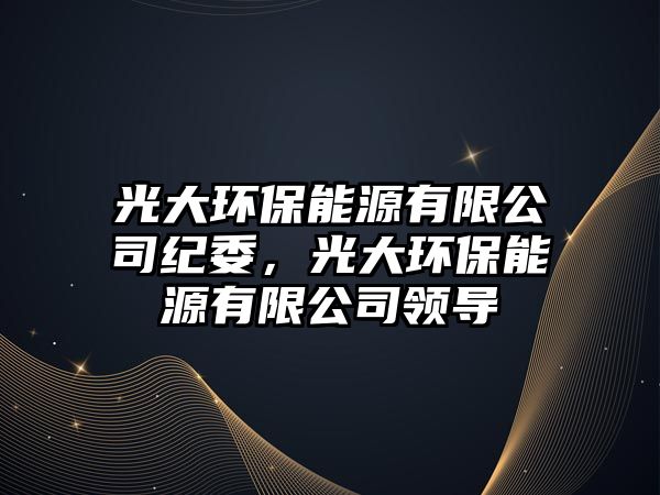 光大環(huán)保能源有限公司紀委，光大環(huán)保能源有限公司領(lǐng)導