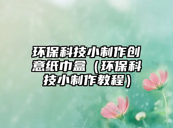 環(huán)?？萍夹≈谱鲃?chuàng)意紙巾盒（環(huán)保科技小制作教程）