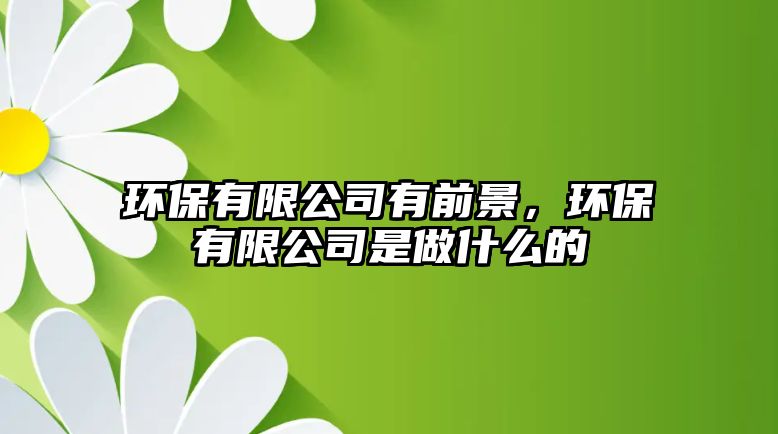 環(huán)保有限公司有前景，環(huán)保有限公司是做什么的