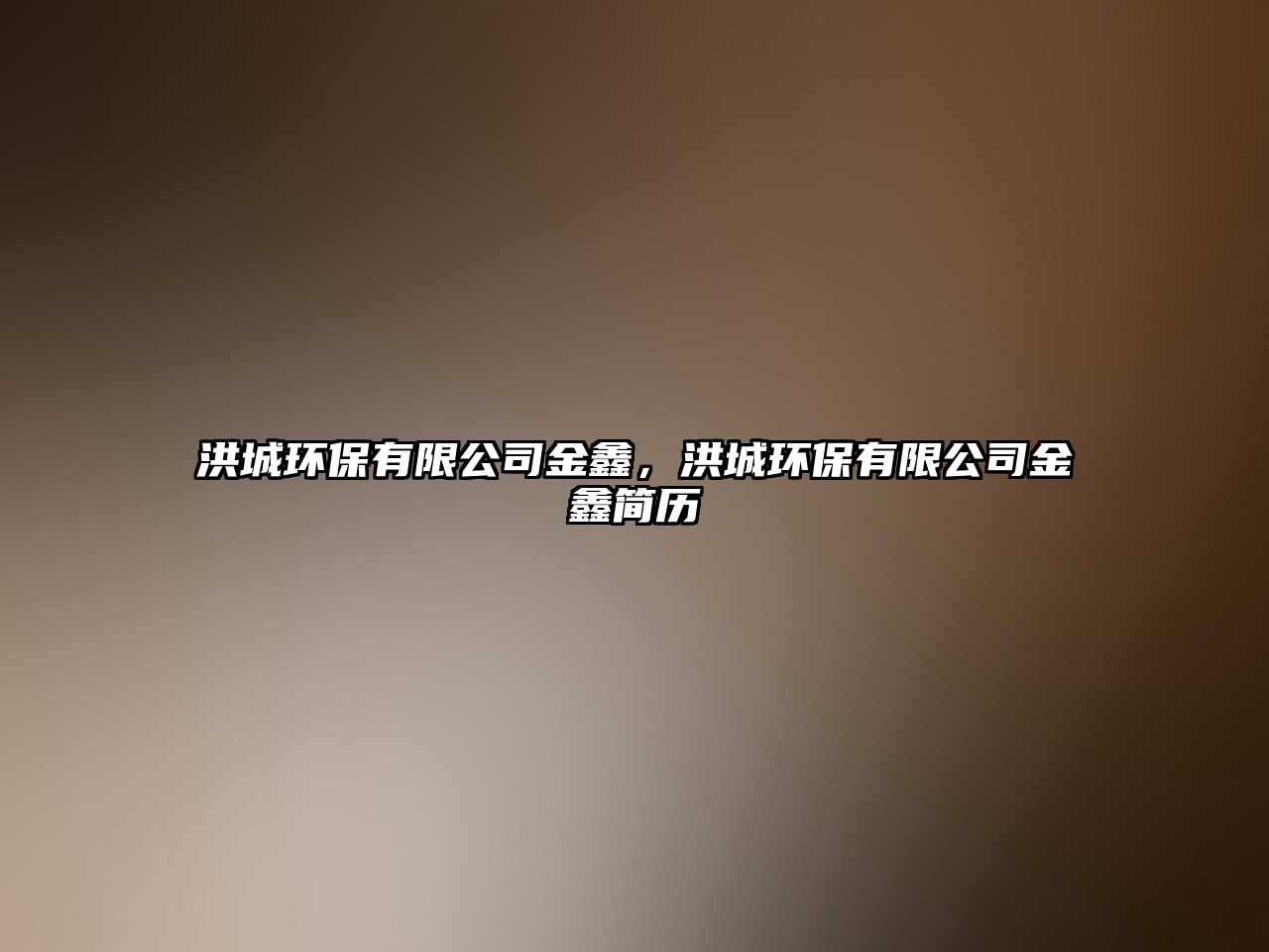 洪城環(huán)保有限公司金鑫，洪城環(huán)保有限公司金鑫簡歷