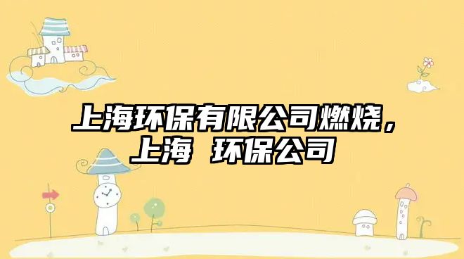 上海環(huán)保有限公司燃燒，上海 環(huán)保公司
