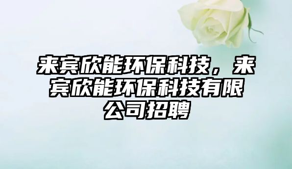 來(lái)賓欣能環(huán)?？萍?，來(lái)賓欣能環(huán)?？萍加邢薰菊衅? class=