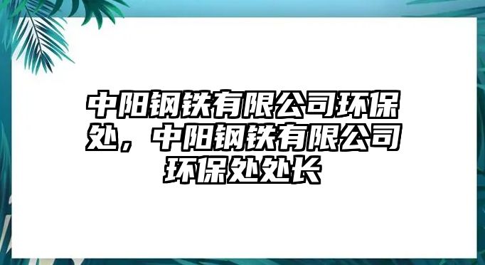 中陽(yáng)鋼鐵有限公司環(huán)保處，中陽(yáng)鋼鐵有限公司環(huán)保處處長(zhǎng)