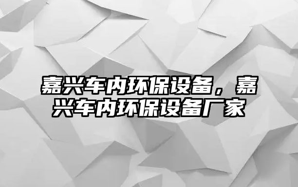 嘉興車內(nèi)環(huán)保設(shè)備，嘉興車內(nèi)環(huán)保設(shè)備廠家