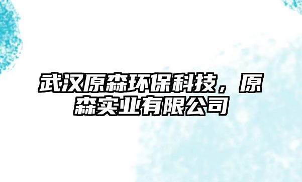 武漢原森環(huán)?？萍?，原森實業(yè)有限公司