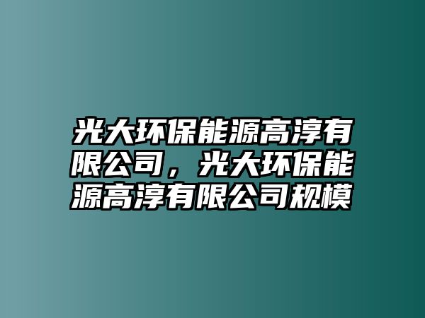 光大環(huán)保能源高淳有限公司，光大環(huán)保能源高淳有限公司規(guī)模