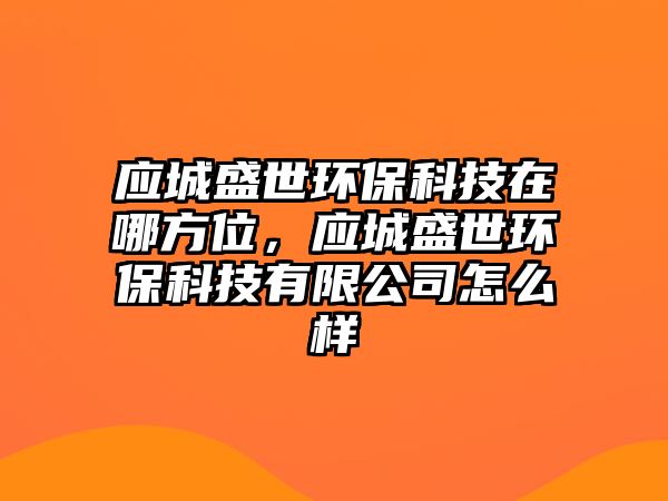 應(yīng)城盛世環(huán)?？萍荚谀姆轿唬瑧?yīng)城盛世環(huán)?？萍加邢薰驹趺礃? class=