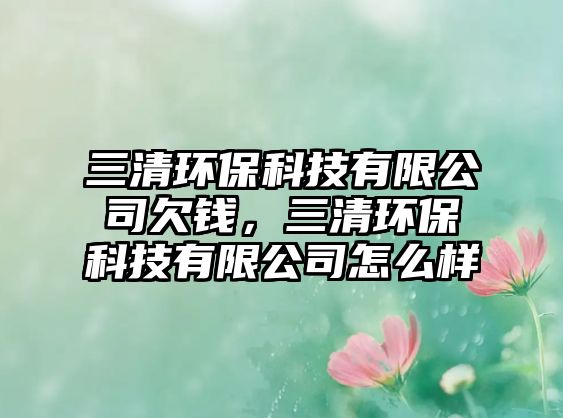 三清環(huán)保科技有限公司欠錢，三清環(huán)?？萍加邢薰驹趺礃? class=